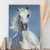 تابلو باکیفیت تصویر اسب سفید