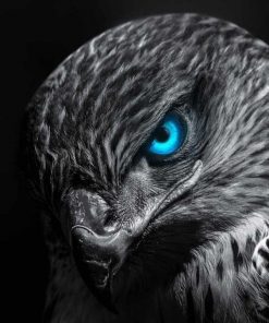 خرید تابلو حیوانات جغد زیبا با چشم های آبی به همراه هدیه ویژه