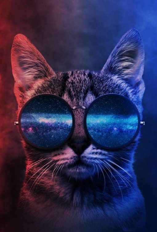 خرید تابلو فانتزی گربه خوش رنگ با عینک همراه با هدیه ویژه