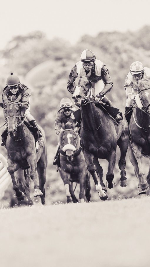 خرید تابلو ورزشکاران اسب سوار و مسابقه اسب دوانی برای پذیرایی