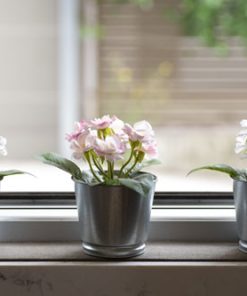 قیمت و خرید تابلو گل و طبیعت گلدان در پنجره
