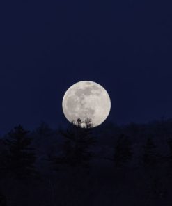 قیمت و خرید تابلو طبیعت طرح ماه در شب جنگل