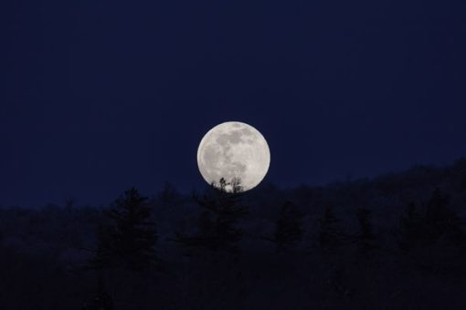 قیمت و خرید تابلو طبیعت طرح ماه در شب جنگل
