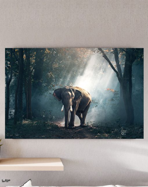 تابلو حیوانات تصویر فیل در میان جنگل