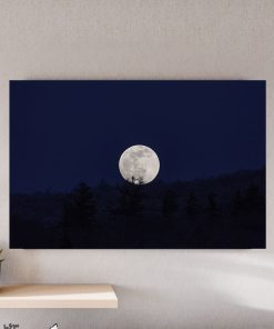 تابلو طبیعت طرح ماه در شب جنگل