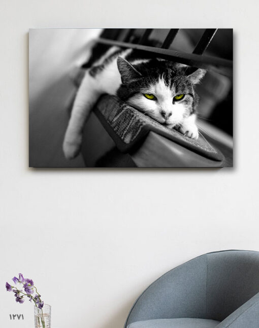 تابلو سیاه و سفید گربه خسته