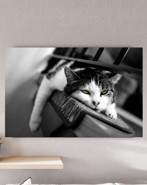 قیمت و خرید تابلو سیاه و سفید گربه خسته