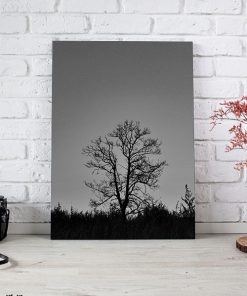 تابلو سیاه و سفید درخت تنها