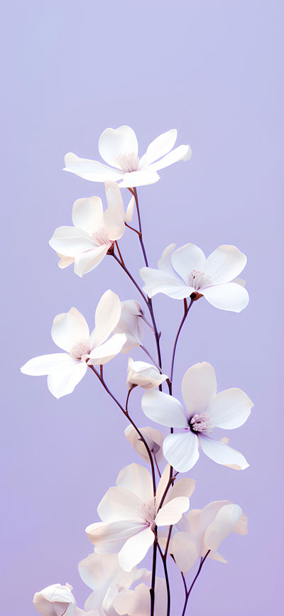 خرید تابلو طبیعت عکس گل سفید رویایی