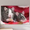 تابلو حیوانات موش های باحال و با مزه