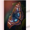 تابلو حیوانات عکس پروانه بسیار خوش رنگ