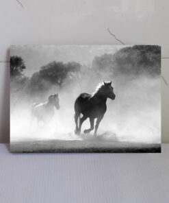 تابلو سیاه و سفید اسب های وحشی و زیبا