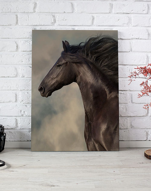 تابلو سیاه و سفید اسب زیبا و قهوه ای
