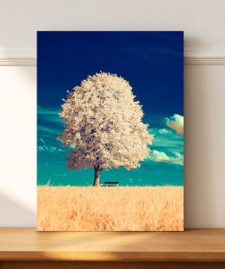 تابلو طبیعت درخت سفید عکس درخت پاییزی