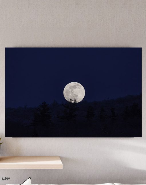 تابلو طبیعت طرح ماه در شب جنگل