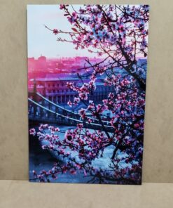 خرید تابلو با عکس درخت شکوفه بهاری