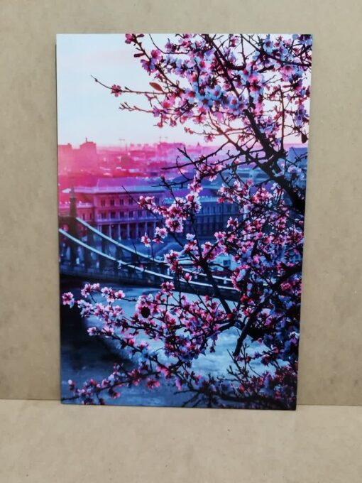 خرید تابلو با عکس درخت شکوفه بهاری
