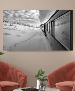 تابلو سیاه و سفید قطار و برف