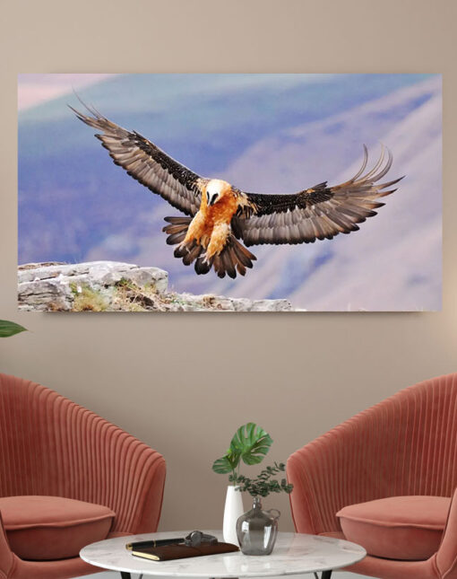 تابلو پرنده ایرانی همای سعادت