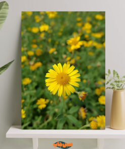 تابلو شاخه گل زرد در دشت گلها