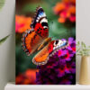 تابلو پروانه خوش رنگ روی گل