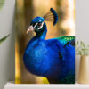 تابلو طاووس فوق العاده زیبا به رنگ آبی